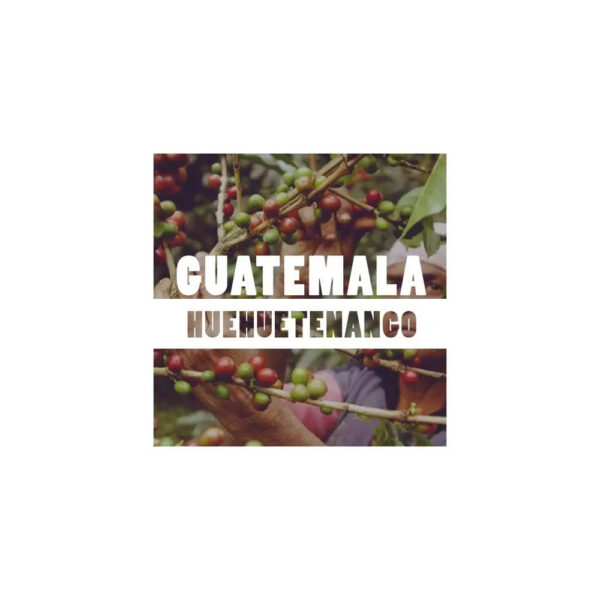 <a href="https://www.aromicup.com/hr/producto/guatemala-huehuetenango/">GUATEMALA HUEHUETENANGO</a> - Slika 2