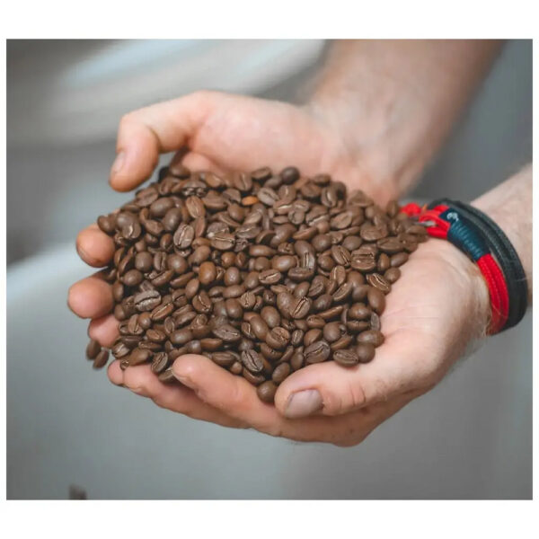 <a href="https://www.aromicup.com/hr/producto/etiopie-guji-g1-natural/">ETIOPIE GUJI G1 NATURAL</a> - Slika 3